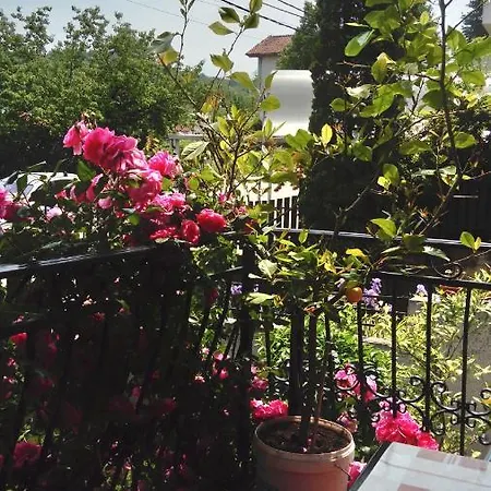 Smestaj-rooms Marvell Homestay Nis
